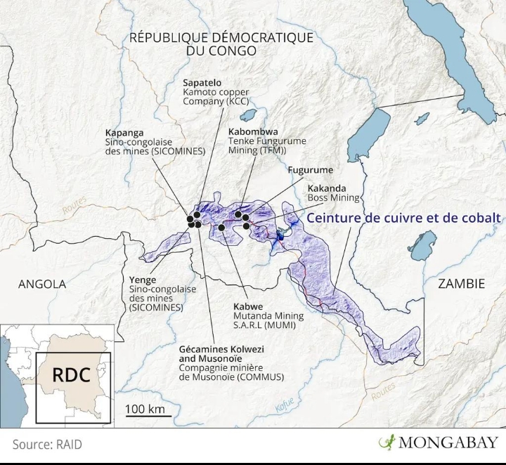 CUIVRE CONGOLAIS : LES ÉTATS-UNIS AUGMENTENT FORTEMENT LEURS IMPORTATIONS